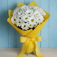 Букет цветов из:  Хризантемы в Новомосковске