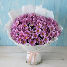 Букет цветов из:  Хризантемы в Новомосковске