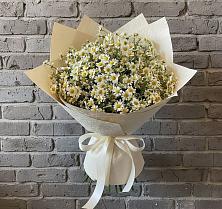 Букет цветов из:  Ромашки #REPLACE_PRED# Новомосковске