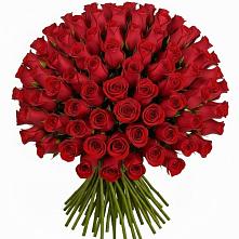 Букет Красные розы Чери Лав #REPLACE_PRED# Новомосковске